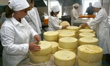  В Ленинградской области открыли новое производство сыра‍