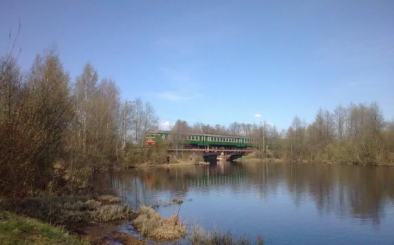 В Ленобласти за 28,5 млн отремонтируют мост через реку Сестру