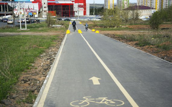 В Ленобласти появится сеть велодорожек‍