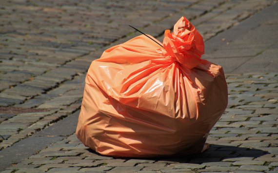 В течение года в Ленобласти появятся 5 новых мусорных полигонов