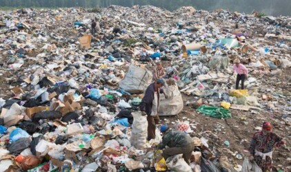 Две несанкционированные свалки ликвидировали в Ленинградской области