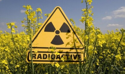 В Ленобласти за проверку на радиацию заплатят 2 млн рублей‍