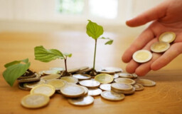 ОЭЗ «Санкт-Петербург» благодаря новым резидентам привлечет 9 млрд рублей