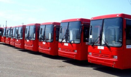 В Санкт-Петербурге закупили 20 новых автобусов для перевозки детей‍