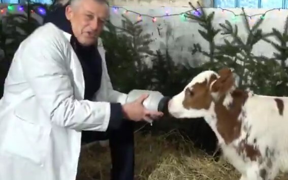 «Пей-пей, маленький!»: Губернатор Ленобласти Александр Дрозденко «задобрил» символ 2021 года