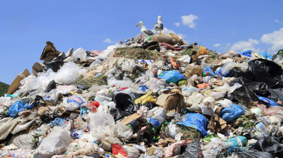 Изменение тарифной политики по вывозу мусора для населения грозит Петербургу и российским регионам социальным взрывом 