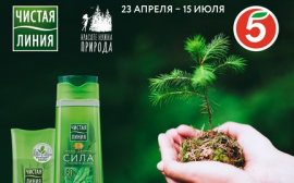 Косметический бренд «Чистая Линия» и торговая сеть «Пятёрочка» помогут жителям России сохранять леса в режиме онлайн