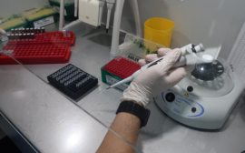 Лаборатория МИБС вошла в программу «Канцерогеном»