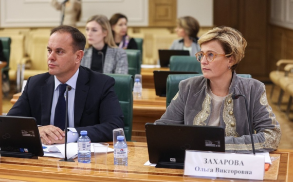 АСИ представило в Совете Федерации предложения по повышению эффективности мер господдержки для сферы туризма России