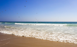 В Сосновом Бору намерены создать идеальный для отдыха пляж