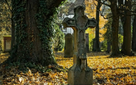 В Выборгском районе Ленобласти появится новое кладбище