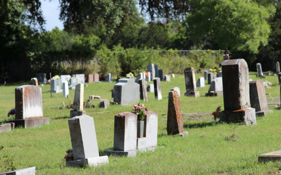 На содержание кладбищ в Ломоносовском районе выделят 20 млн рублей