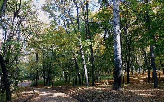 В Ленобласти на благоустройство парков направят 1,5 млрд рублей