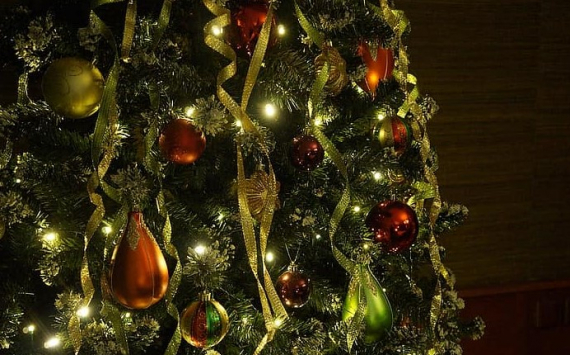 В Санкт-Петербурге новогодние елки закупят на 18 млн рублей