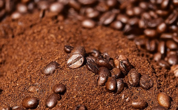 В Ленобласти начнут производить 4200 тонн кофе