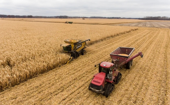 В Ленинградской области сельхозпроизводителей Выборгского района поддержат грантами и субсидиями