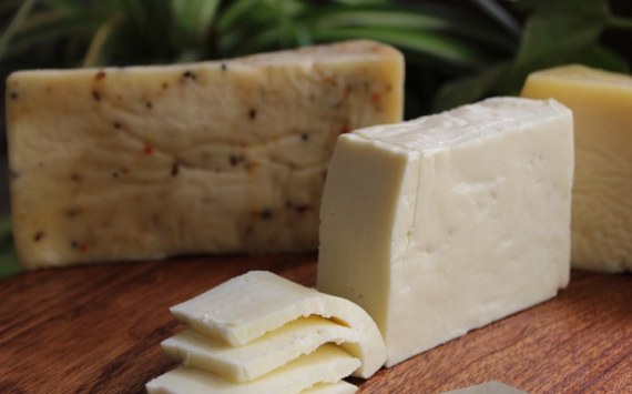 В Ленобласти за 1 млрд рублей запустили производство сыров