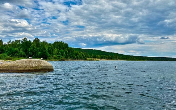 Санкт-Петербург получит 35 млн рублей на очистку заказника «Озеро Щучье»