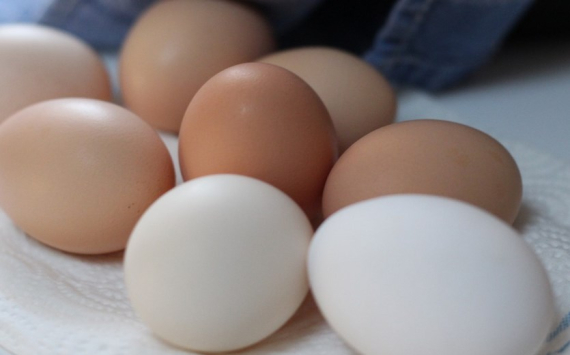 В Ленобласти 7,1 млрд рублей вложат в производство яиц
