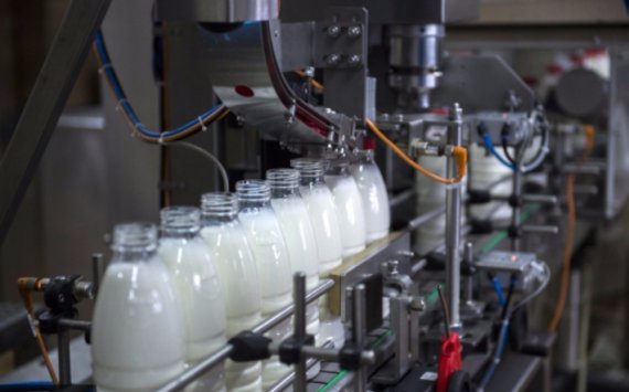 Во Всеволожском районе построят молочный завод