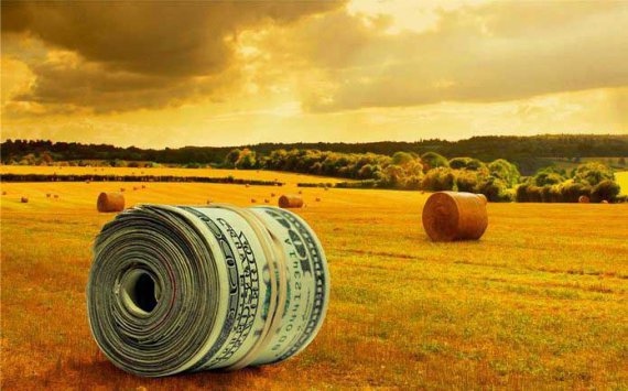 Аграрии Ленобласти произвели продукции на 101 млрд рублей