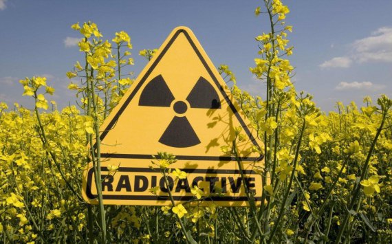 В Ленобласти за проверку на радиацию заплатят 2 млн рублей‍