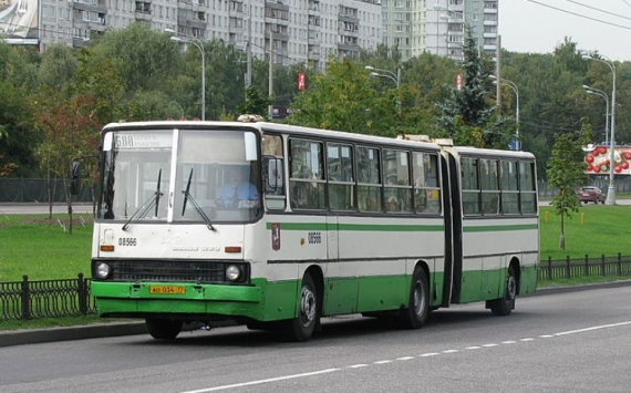 Между Петербургом и Гатчиной начнут курсировать автобусы на природном газе