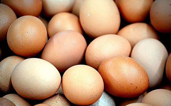 В Ленобласти фермы вдвое увеличили производство яиц 