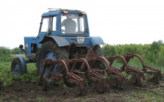 В Ленобласти фермерам выделили 100 млн рублей